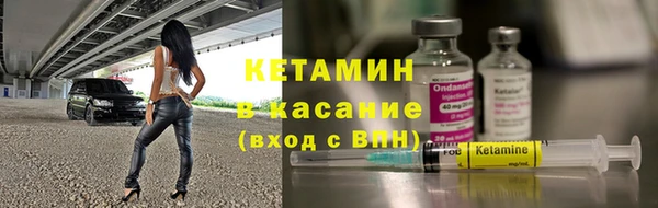 гашик Дмитров