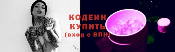 гашик Дмитров