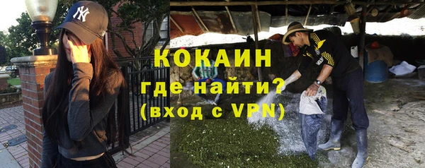 гашик Дмитров