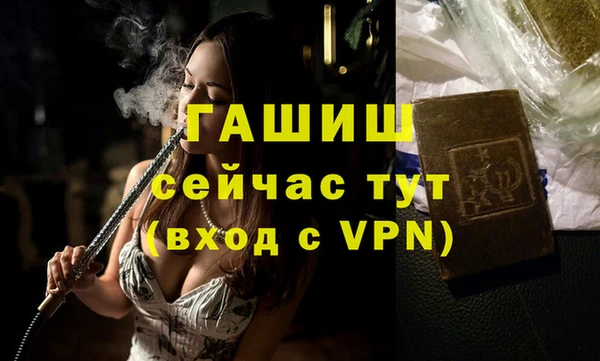 гашик Дмитров