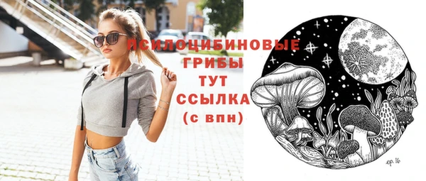 гашик Дмитров