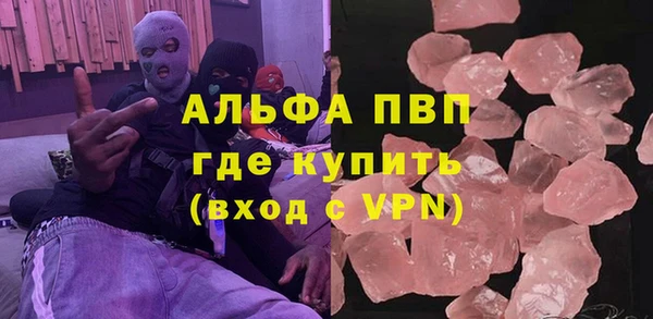 гашик Дмитров
