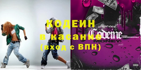 гашик Дмитров