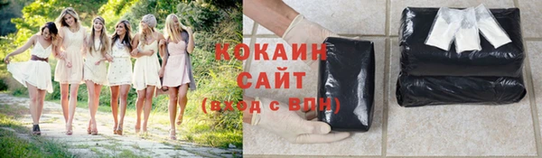 первитин Дмитриев