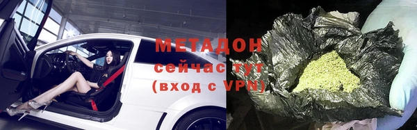 гашик Дмитров