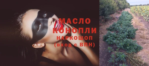 гашик Дмитров