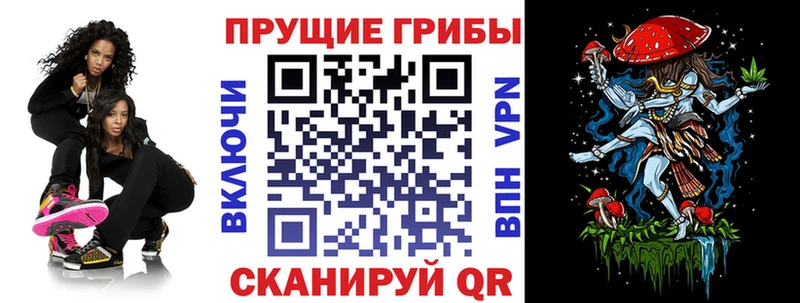 Купить закладки  Нюрба  Галлюциногенные грибы мухоморы 